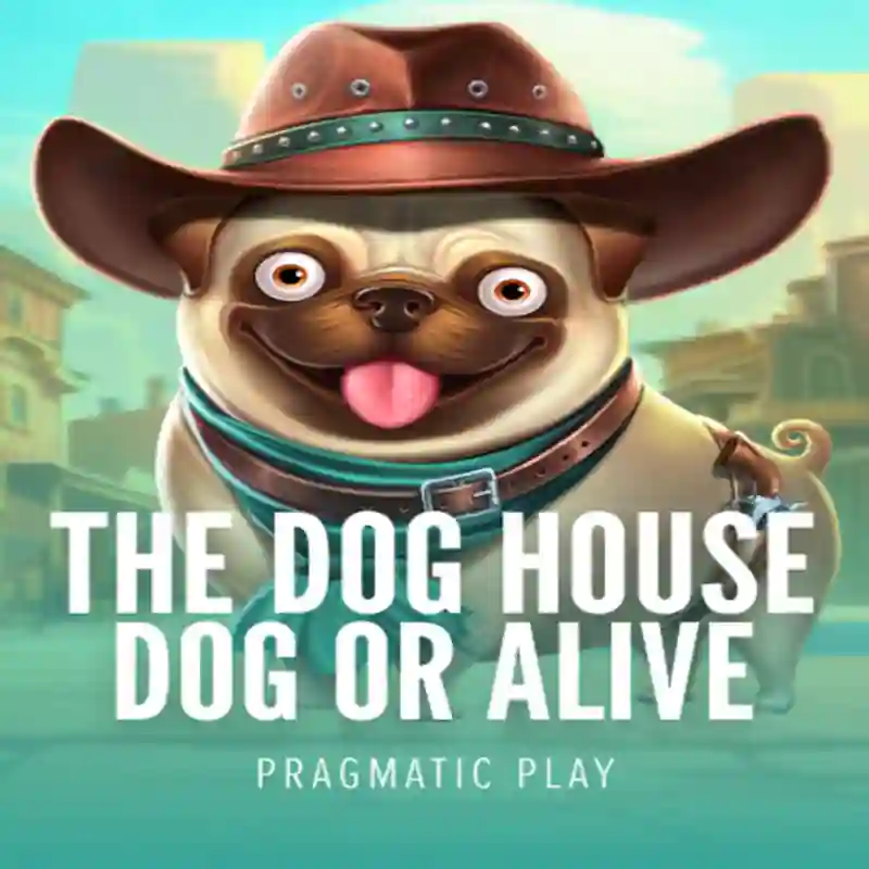 Juego de casino Dog House Dog & Alive en inbet